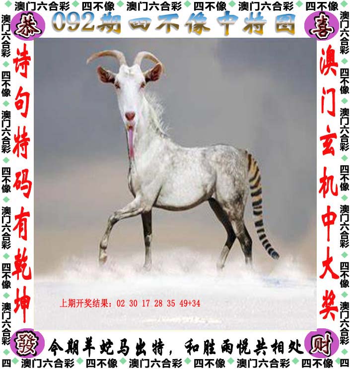 红姐内部资料大全图片虹姐图库，探索数字时代的视觉宝库