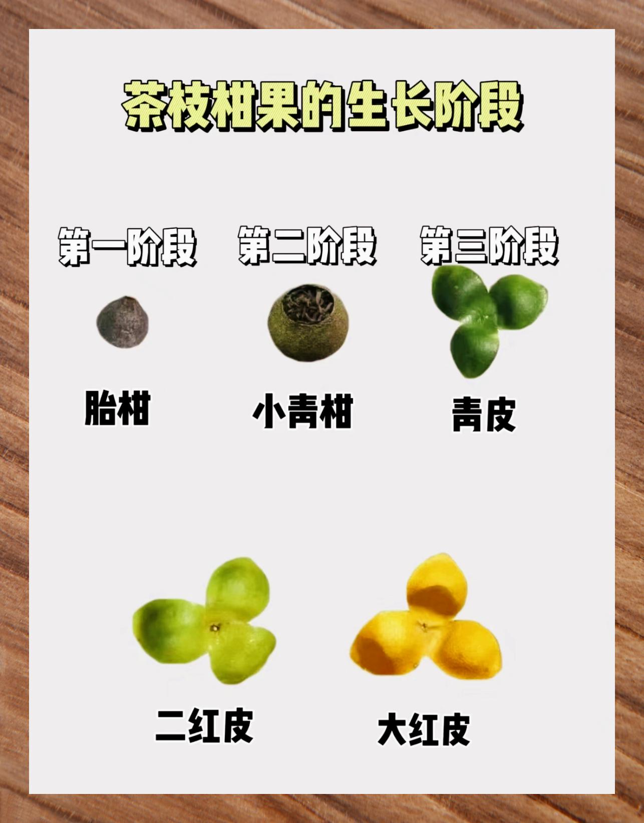 陈皮十大品牌排行榜揭晓-第2张图片