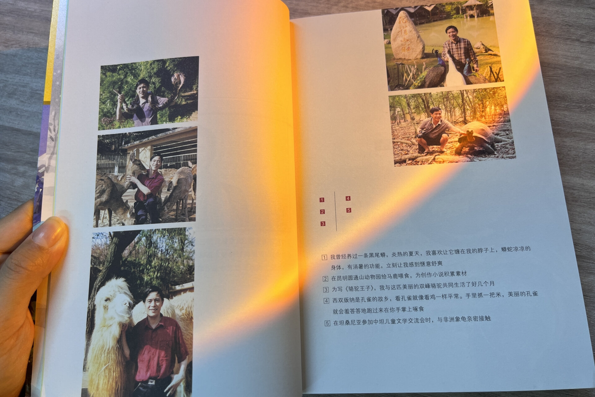 狼王梦全文阅读狼王梦全文阅读-第2张图片
