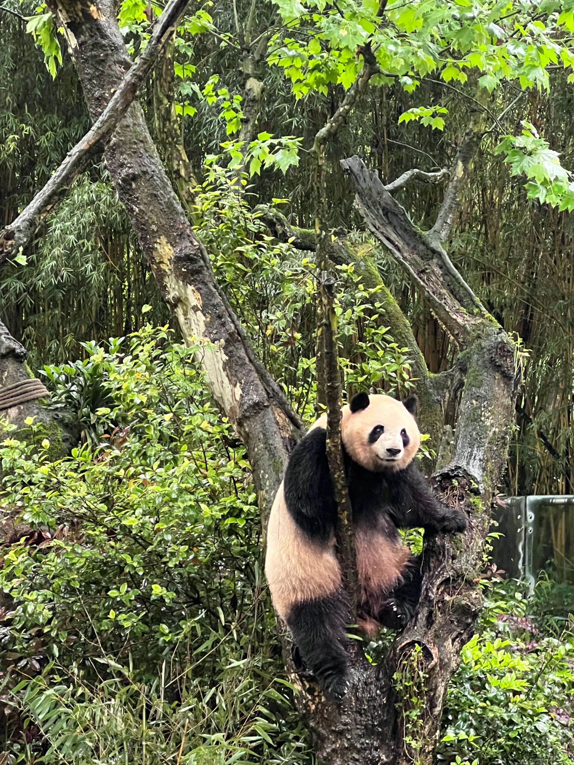 懒人谷在哪里懒人谷，轻松开启新生活-第1张图片