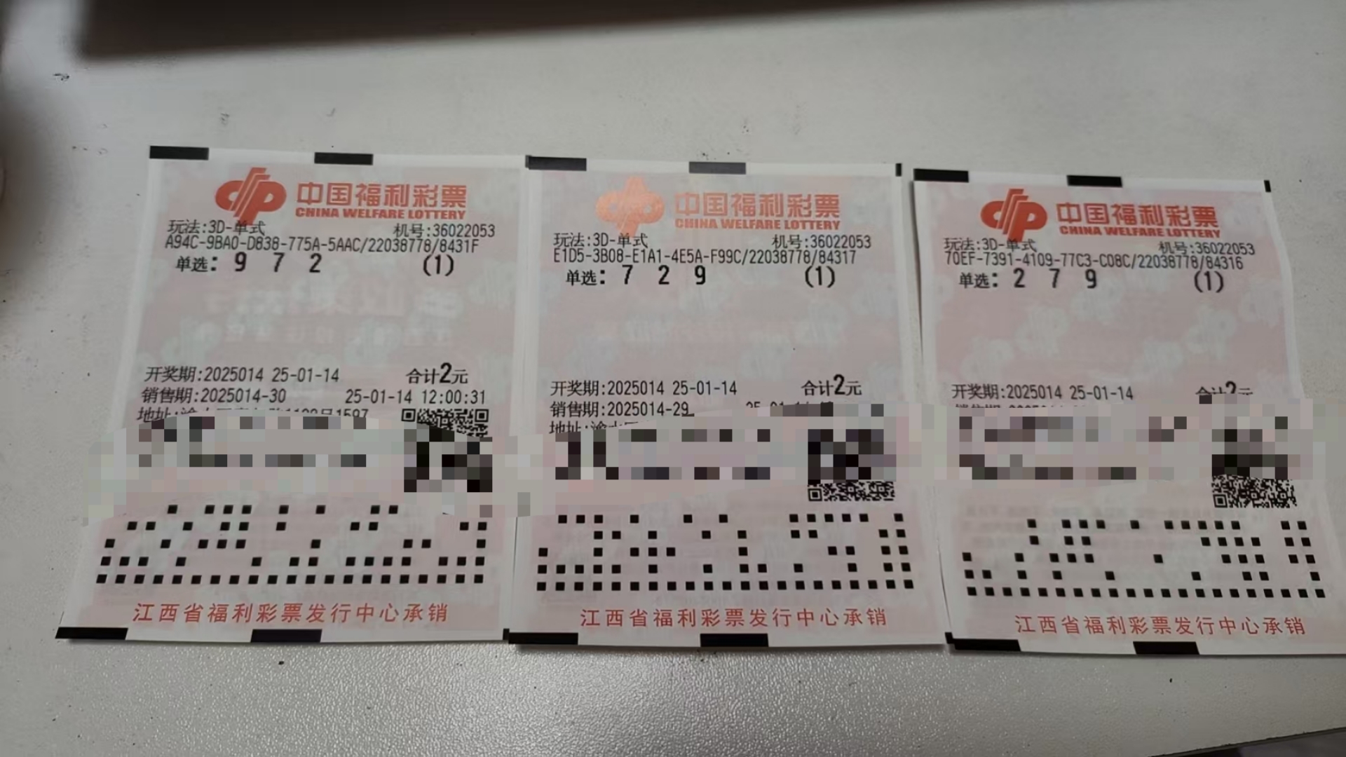 王中王开奖结果49333王中王开奖结果揭晓，49333-第1张图片