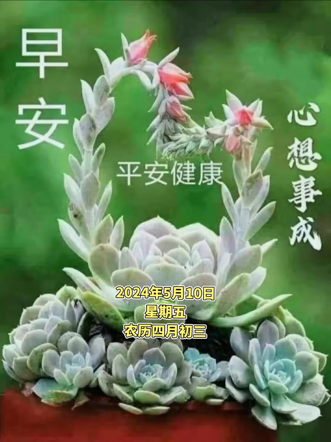 5月9号是什么日子五月九号是什么日子