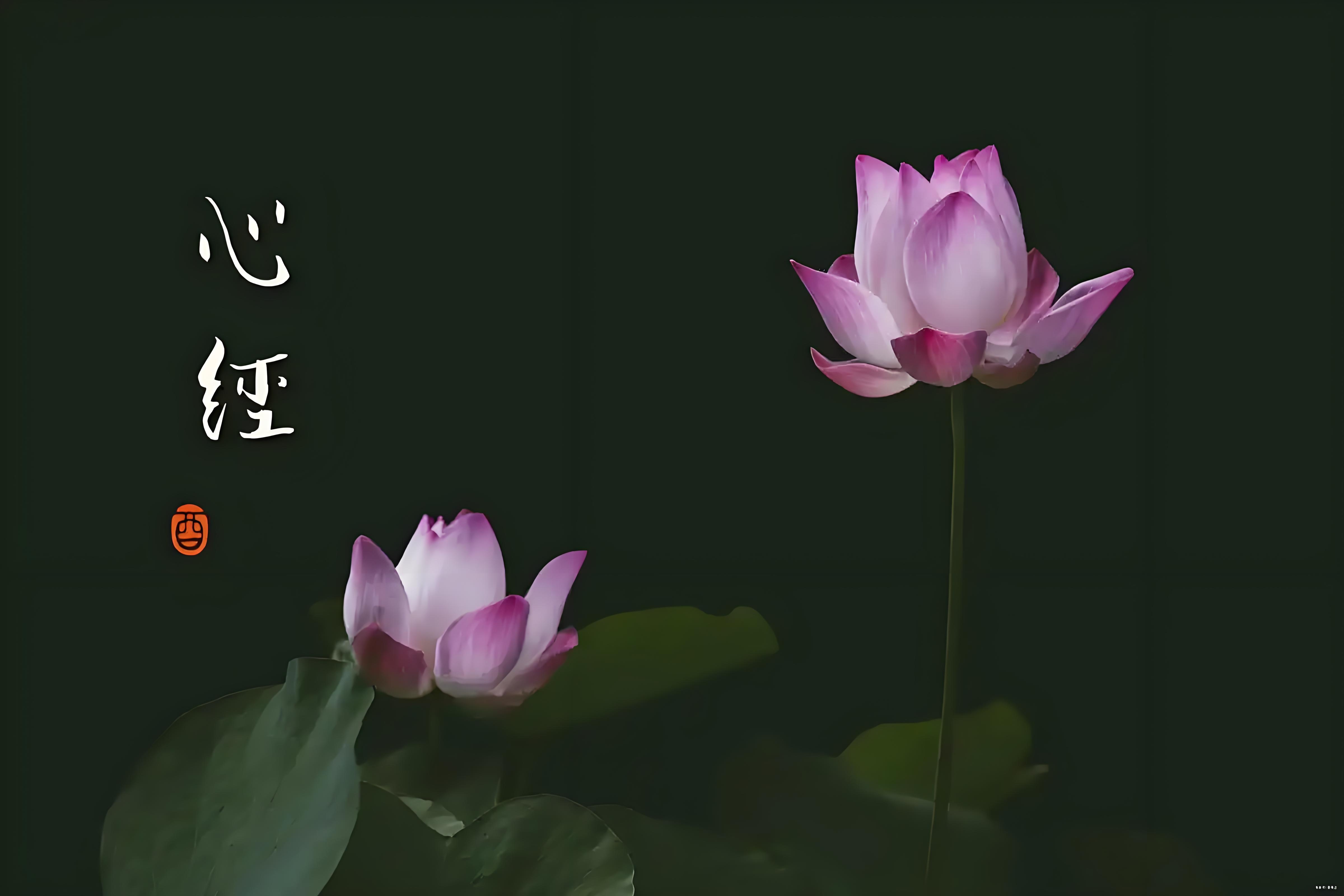 东方心经1东方心经图，探寻内心的智慧之光-第2张图片
