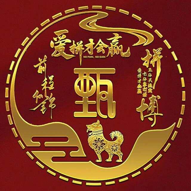 爱拼才会赢爱拼 AP888，情感与拼搏的力量-第3张图片