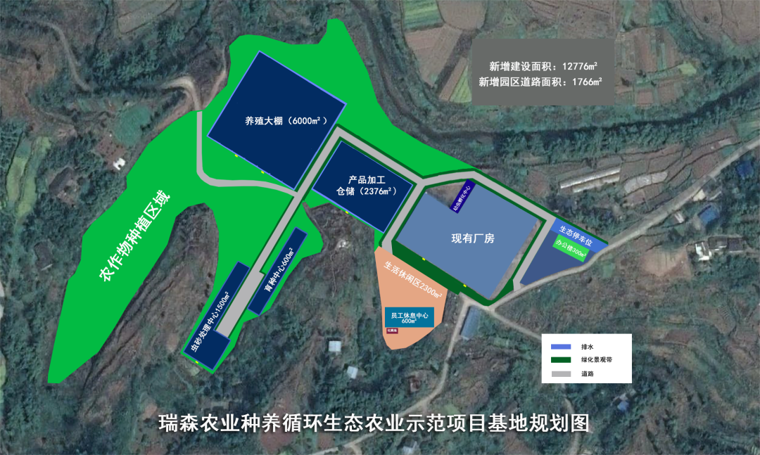 中华彩摘网，探索网络文化的新窗口