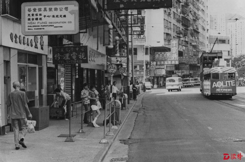 香港近50期历史记录大全汇总香港近50期历史记录大全汇总