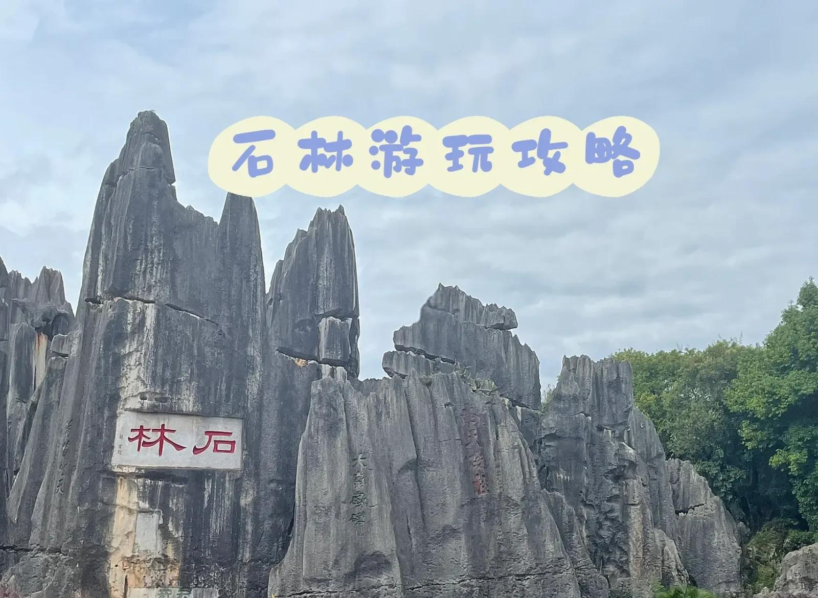 石林几级风景区石林景区是几A级景区-第2张图片