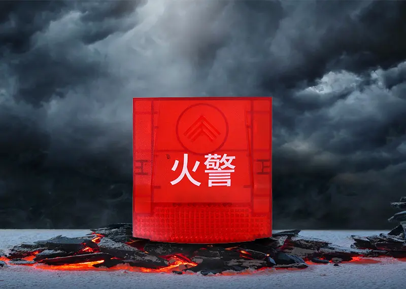 白虎网白虎网，守护生态安全的神秘武器-第2张图片