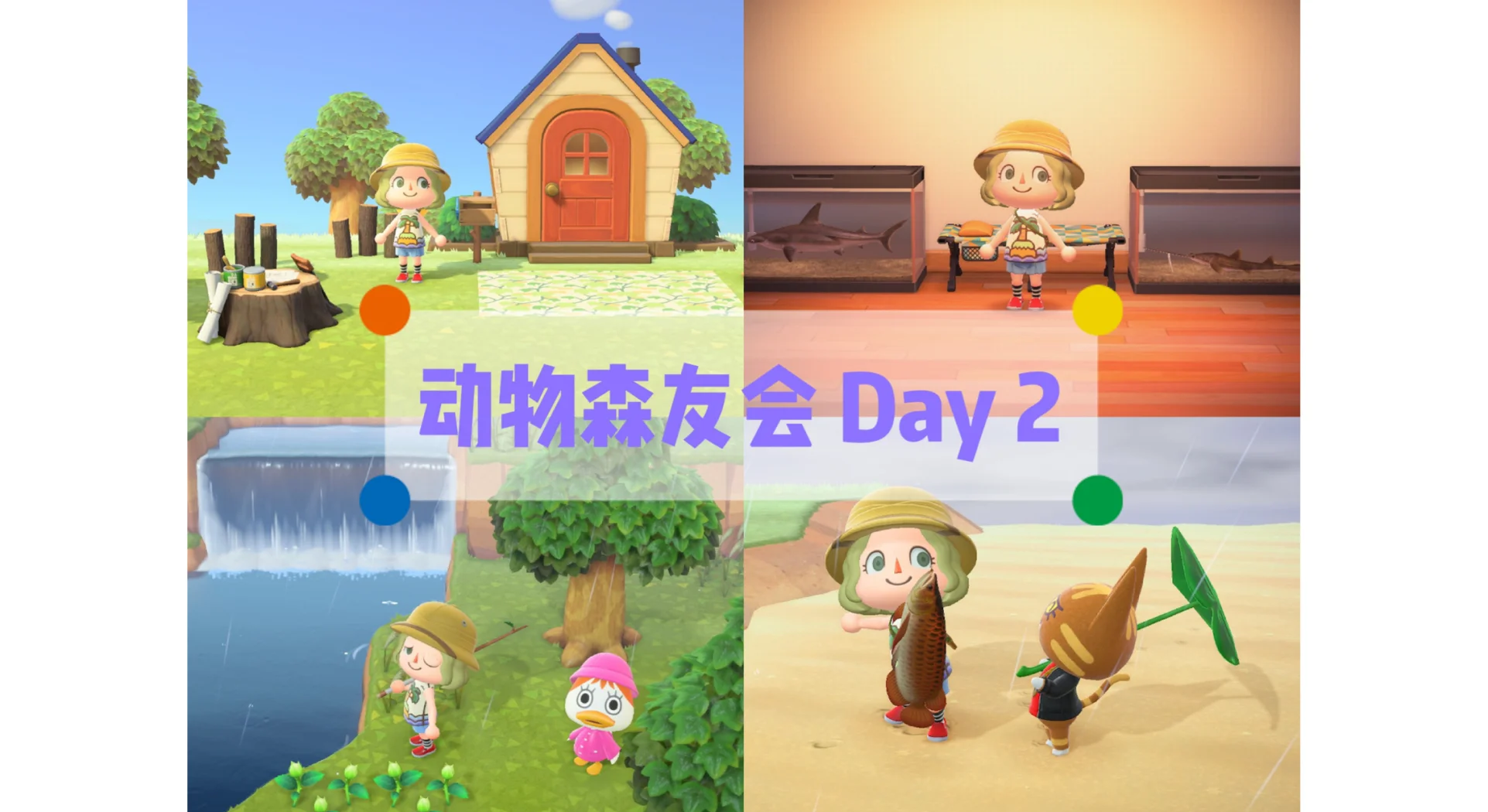 动物森友会攻略