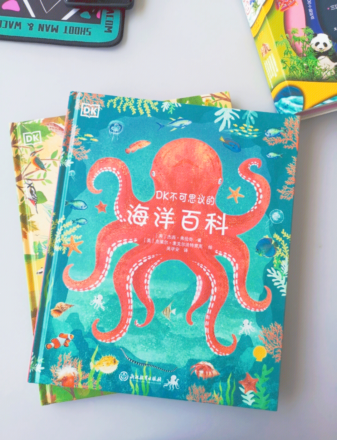 吼吼鲸吼吼鲸，海洋中的神秘生物-第3张图片