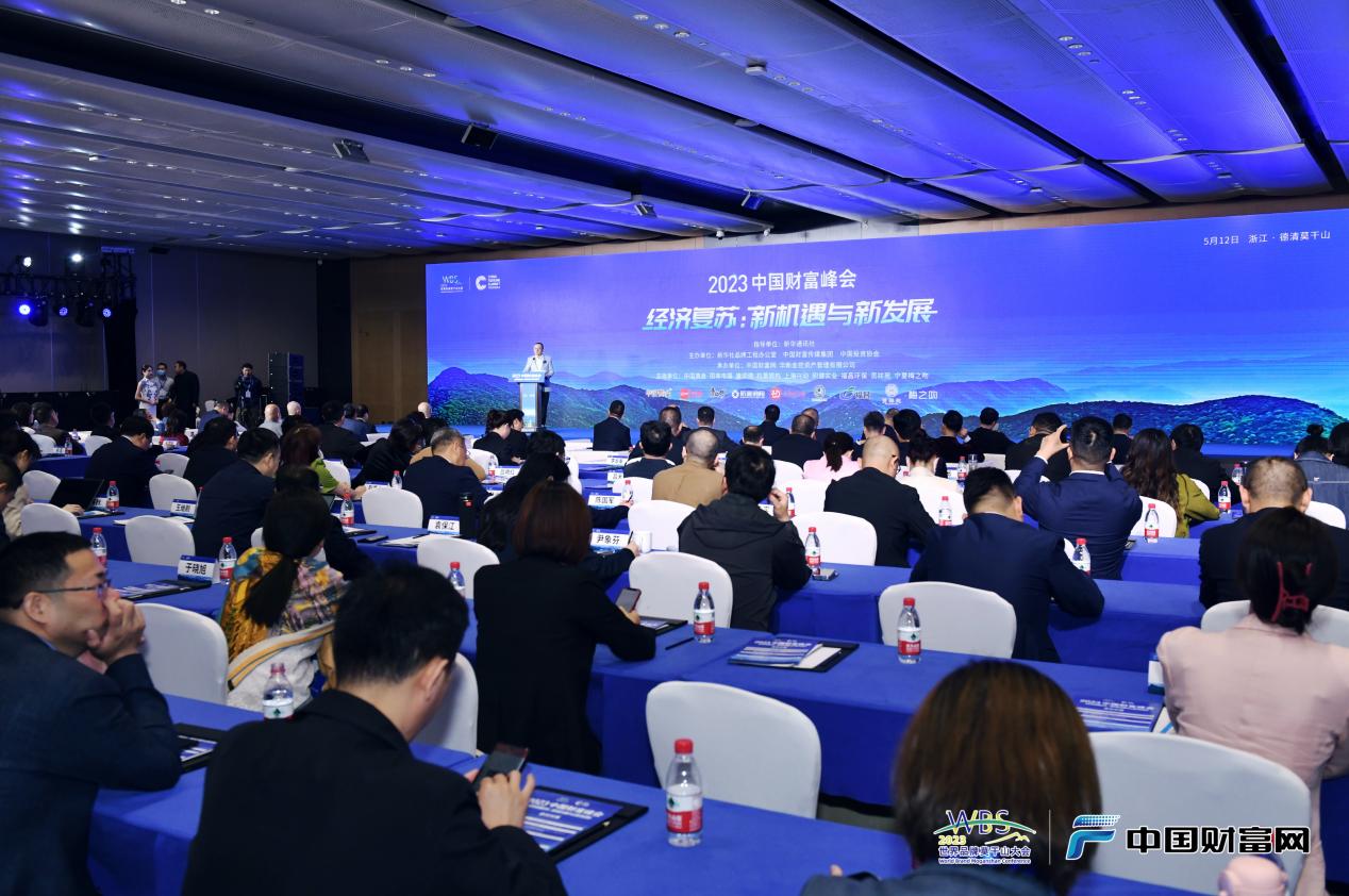 金币交易网站7881金币交易，财富的交易与机遇