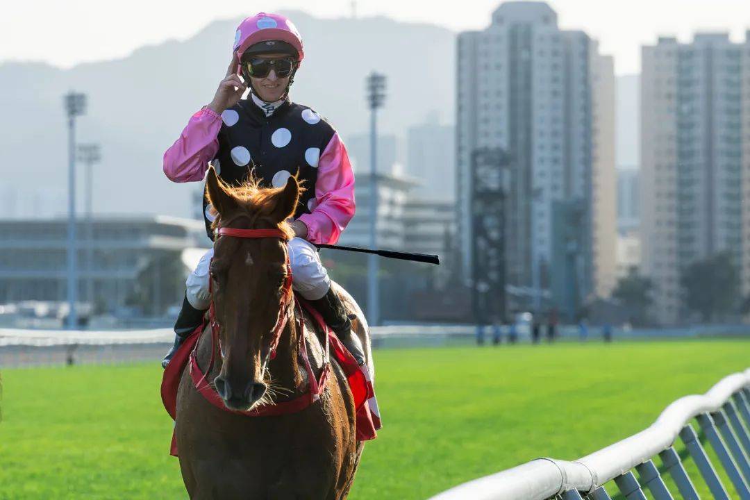 香港2021年马会资料大全2019香港马会资枓大全免费活动解析
