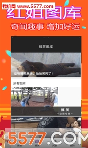 49图库APP下载安卓，探索便捷的视觉盛宴