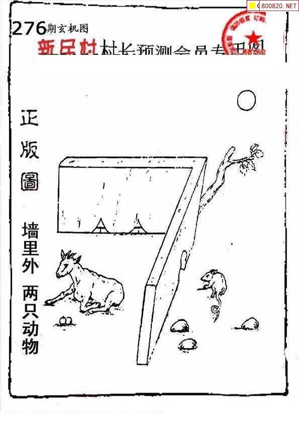 二四六玄机资料图一片二四六免费玄机图，解锁神秘世界的秘密-第2张图片