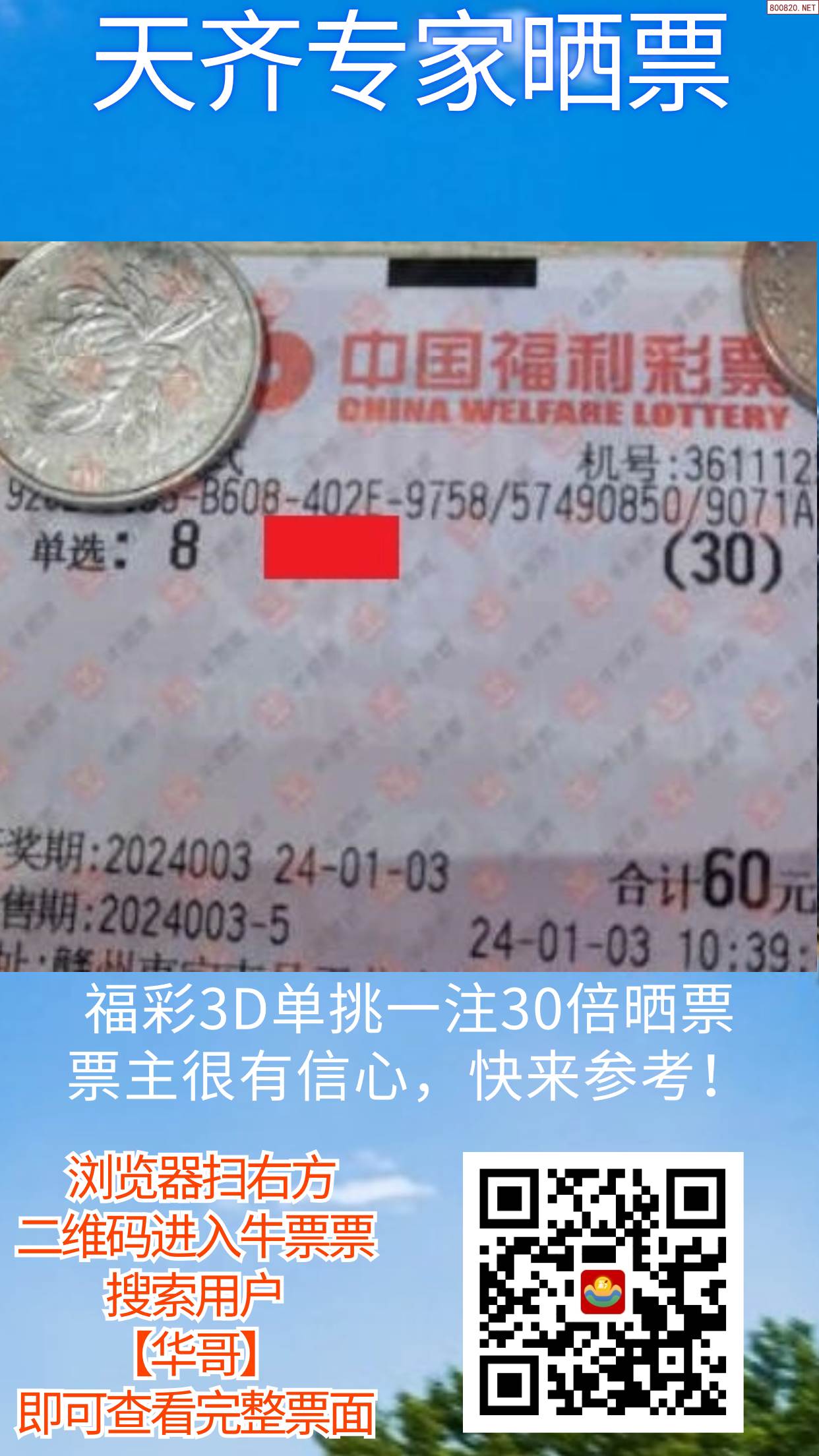 天齐网论坛手机版天齐网论坛，探索网络世界的智慧之窗
