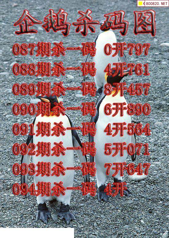 牛彩网福彩3d图谜总汇九,278期牛彩网福彩3D图谜总汇-第2张图片