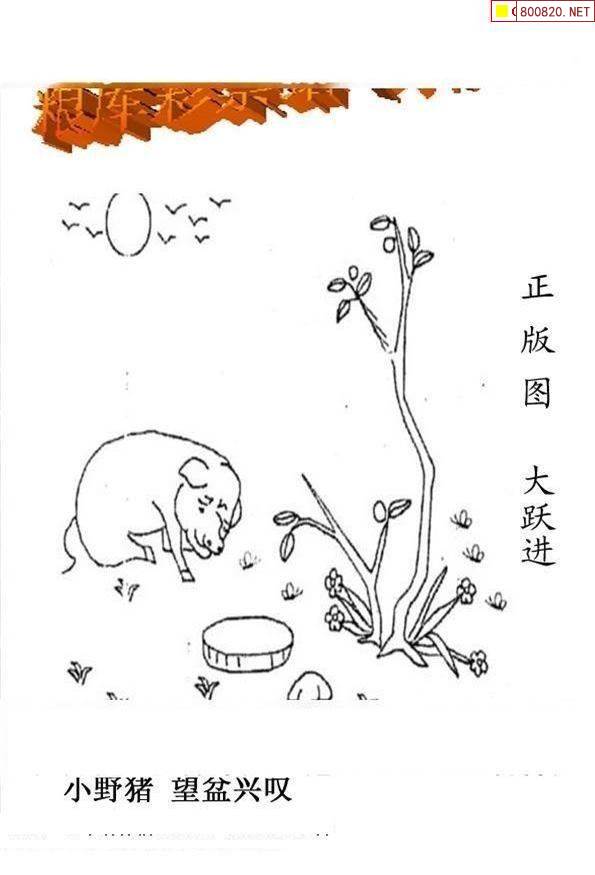 天齐网论坛天齐网论坛，探索网络世界的智慧之窗-第3张图片