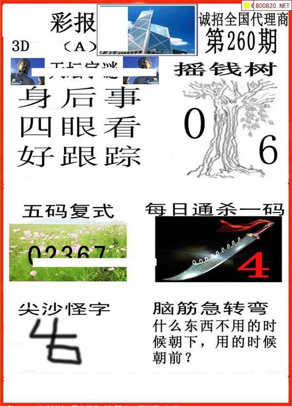 香港今期开奖结果查询，161期-第2张图片