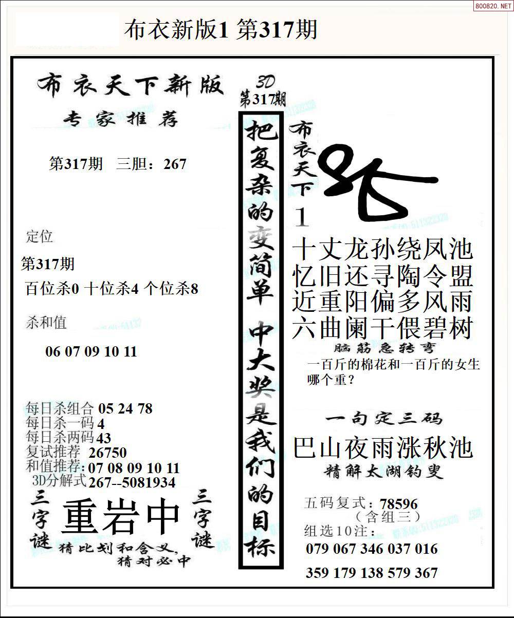 布衣反图库天中123456今天布衣反图库天中今日之探索-第2张图片
