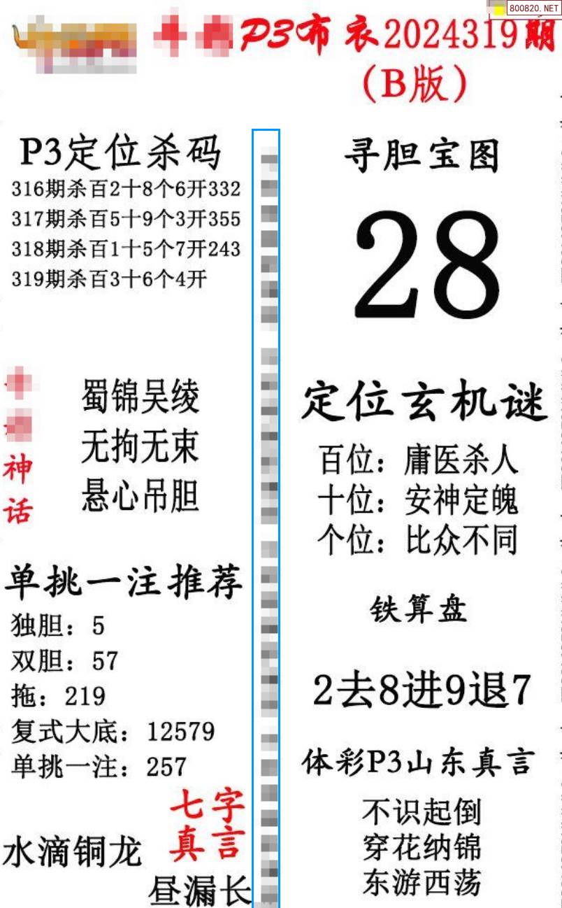 天齐网论坛排列三预测天齐网论坛，探索网络世界的无限可能