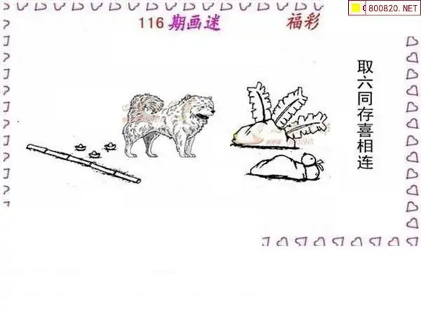 3D彩易画迷3D彩易，引领数字娱乐新潮流