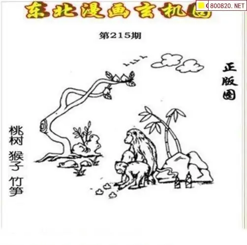 3d字谜图谜论坛3D字谜图谜论坛，探索神秘世界-第2张图片
