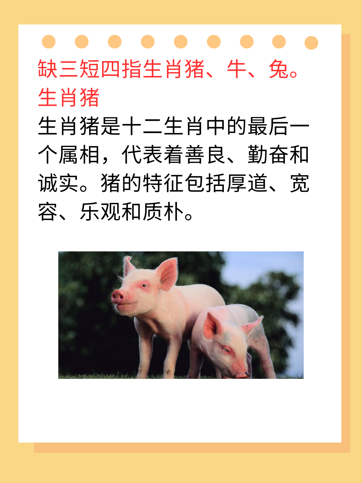 富甲天下是什么生肖