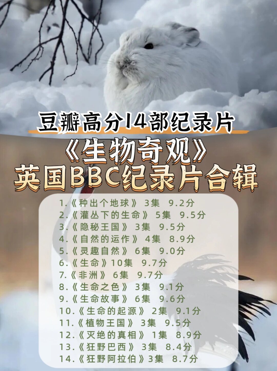 森林游戏作弊码大全森林游戏，探索自然的奇妙世界