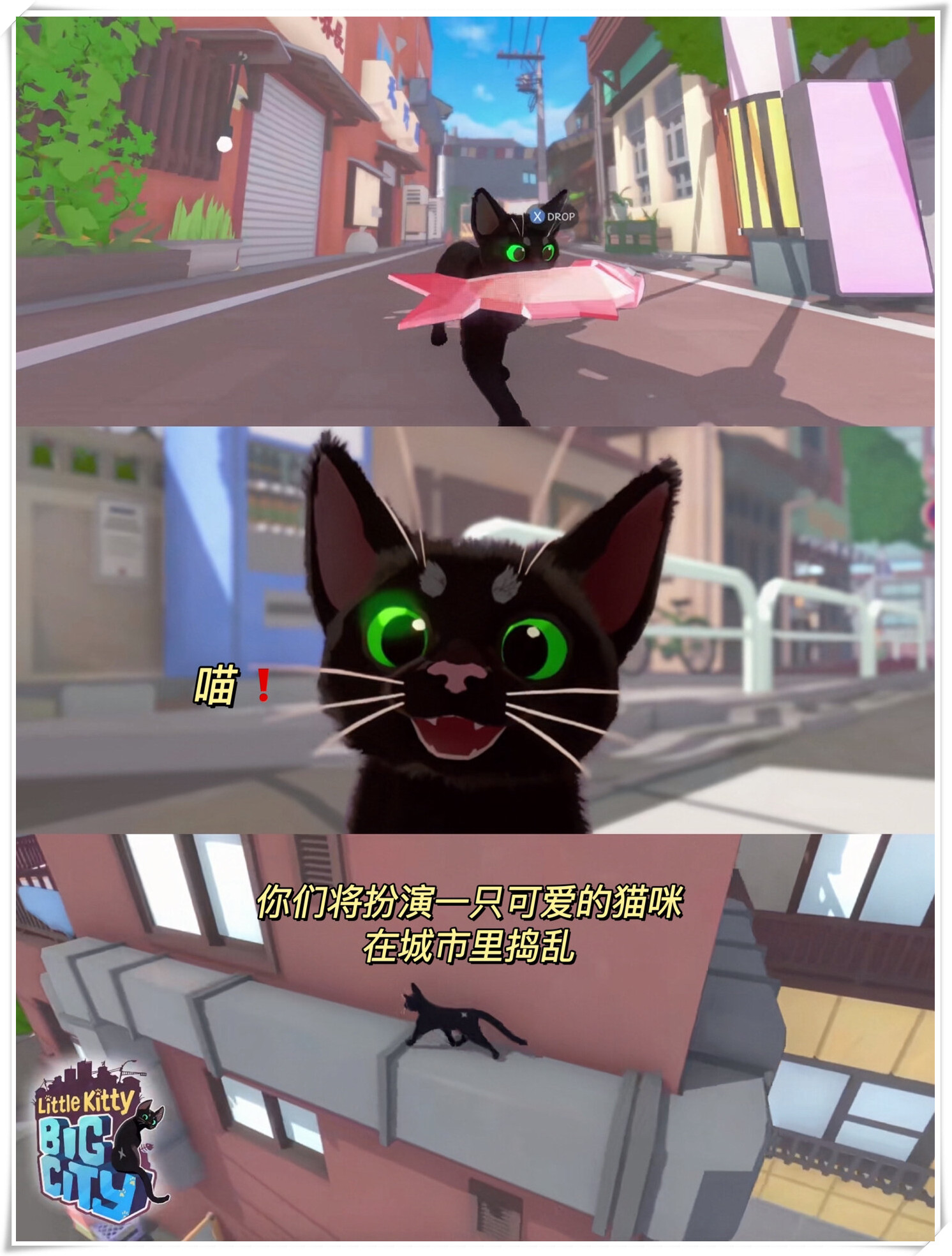 小猫咪大城市小猫咪在大城市的生活-第3张图片