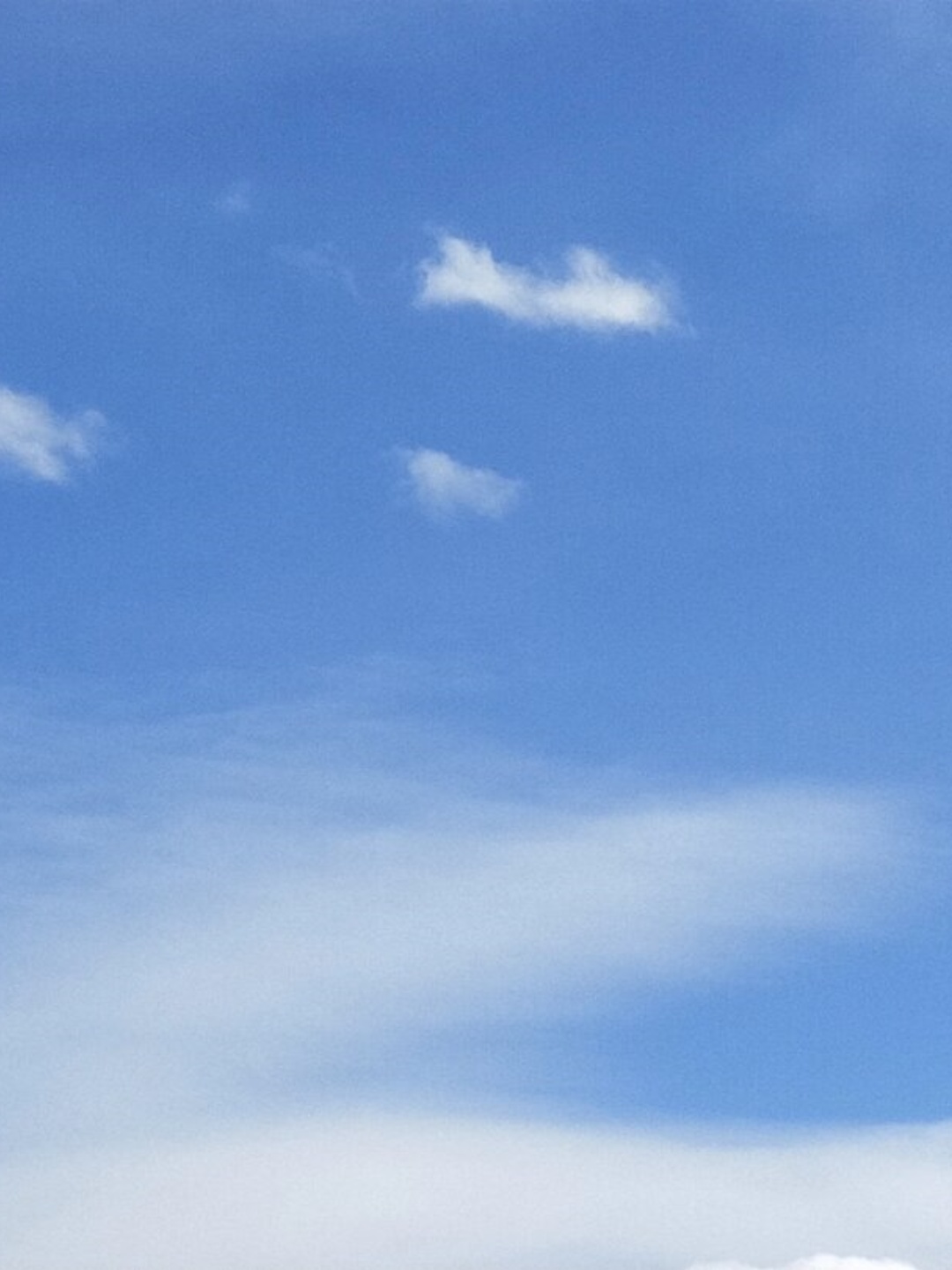 天空下载网天空下载网，探索无限网络资源