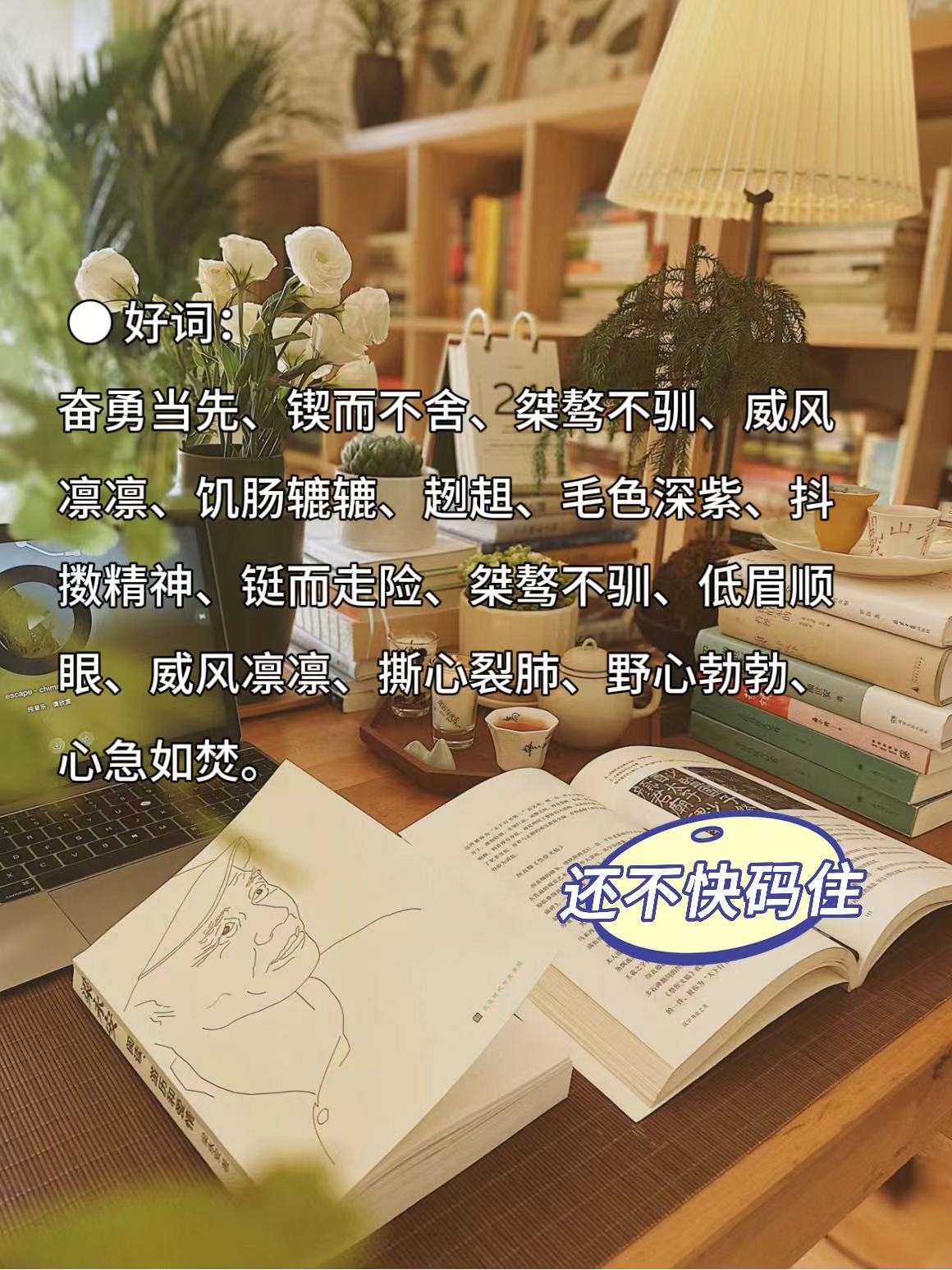 狼王梦,免费阅读狼王梦全文阅读-第2张图片