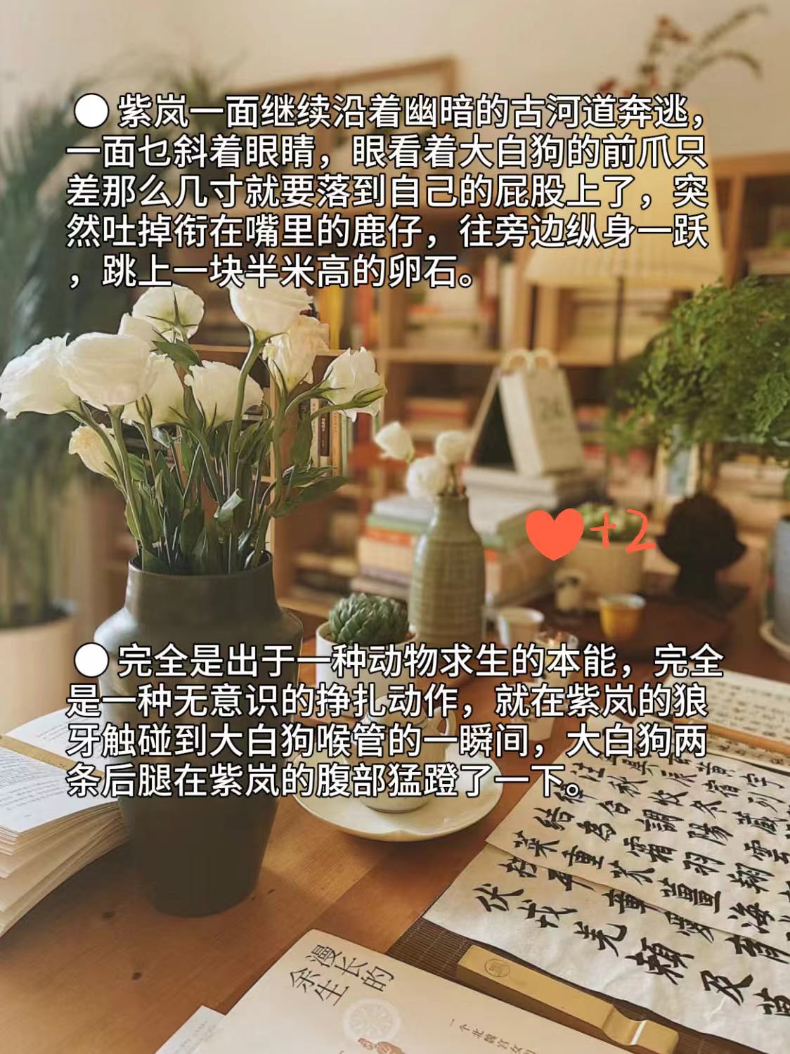 狼王梦全文阅读-第2张图片
