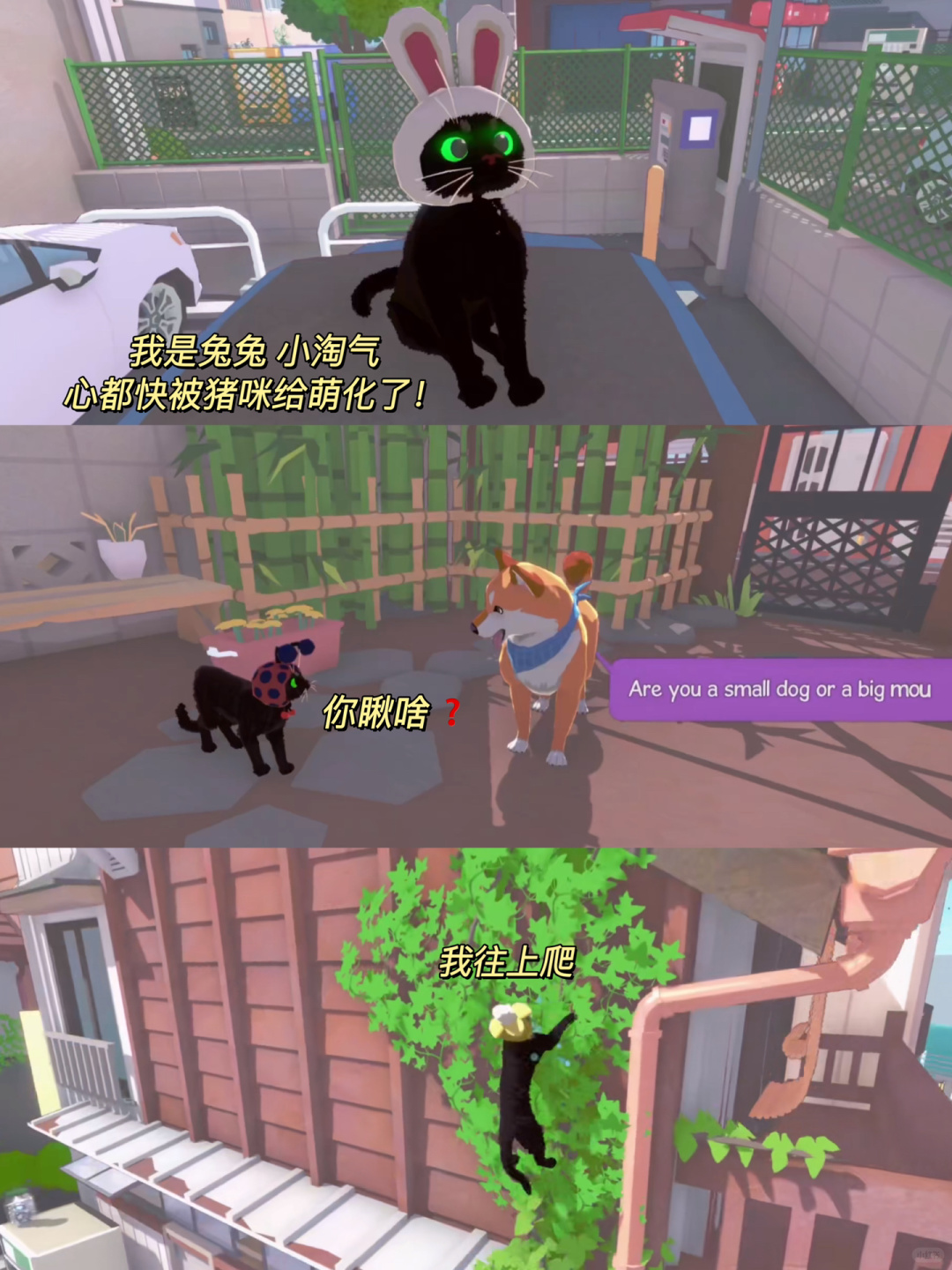 小猫咪大城市正版游戏小猫咪在大城市的生活-第2张图片