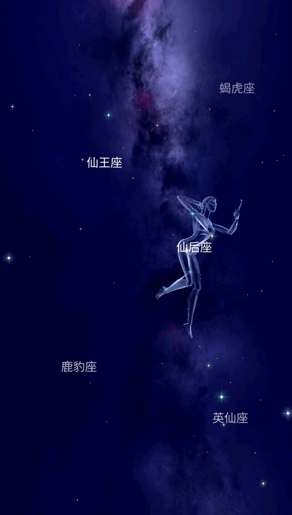探索数字奥秘——446x的奇妙之旅-第2张图片