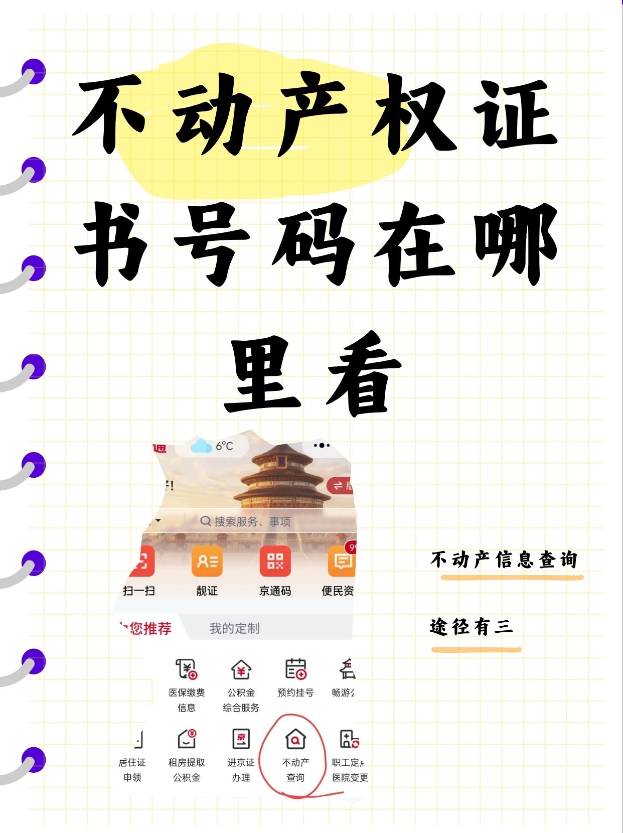 1666.com探索1666.com，数字时代的无限可能-第2张图片