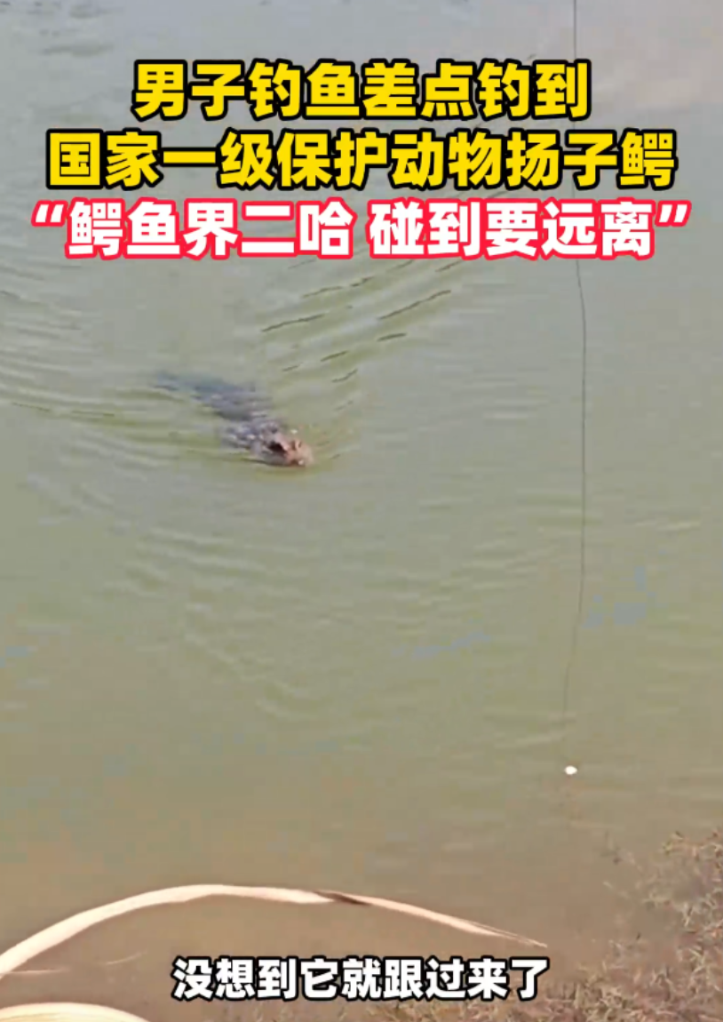 比思论坛2比思论坛2，深度探讨与智慧碰撞-第2张图片