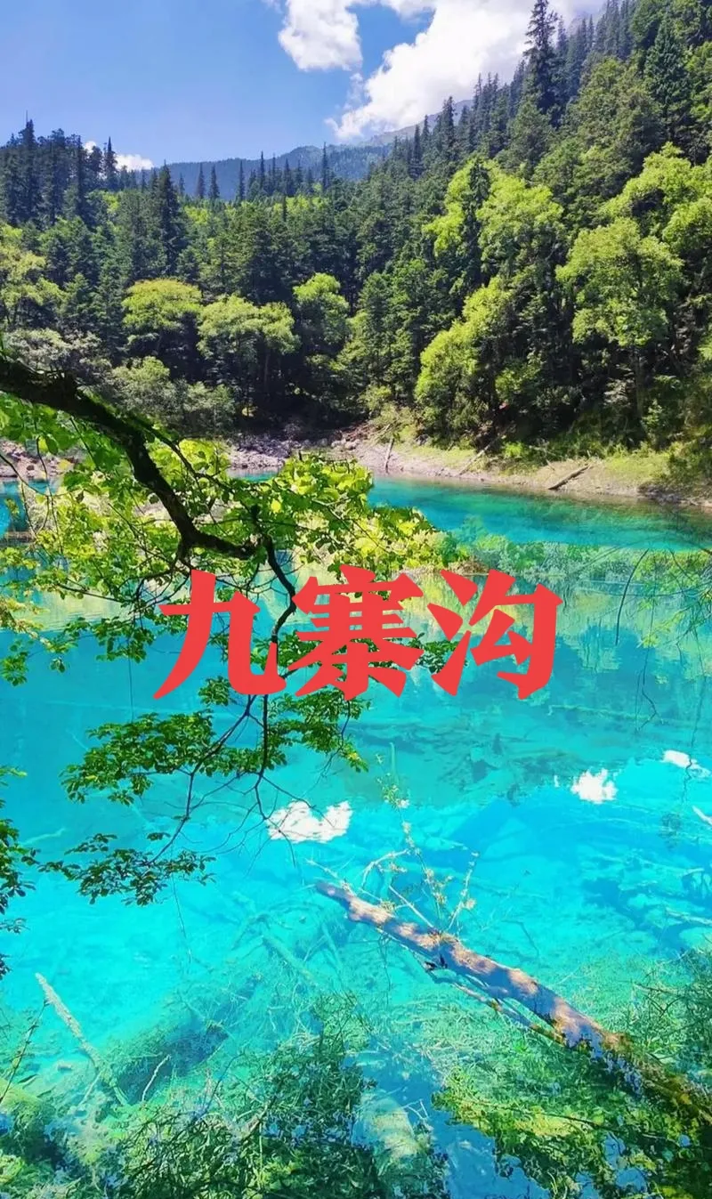 迎接四川第一缕阳光的地方叫什么迎接四川第一缕阳光的地方——九寨沟-第2张图片