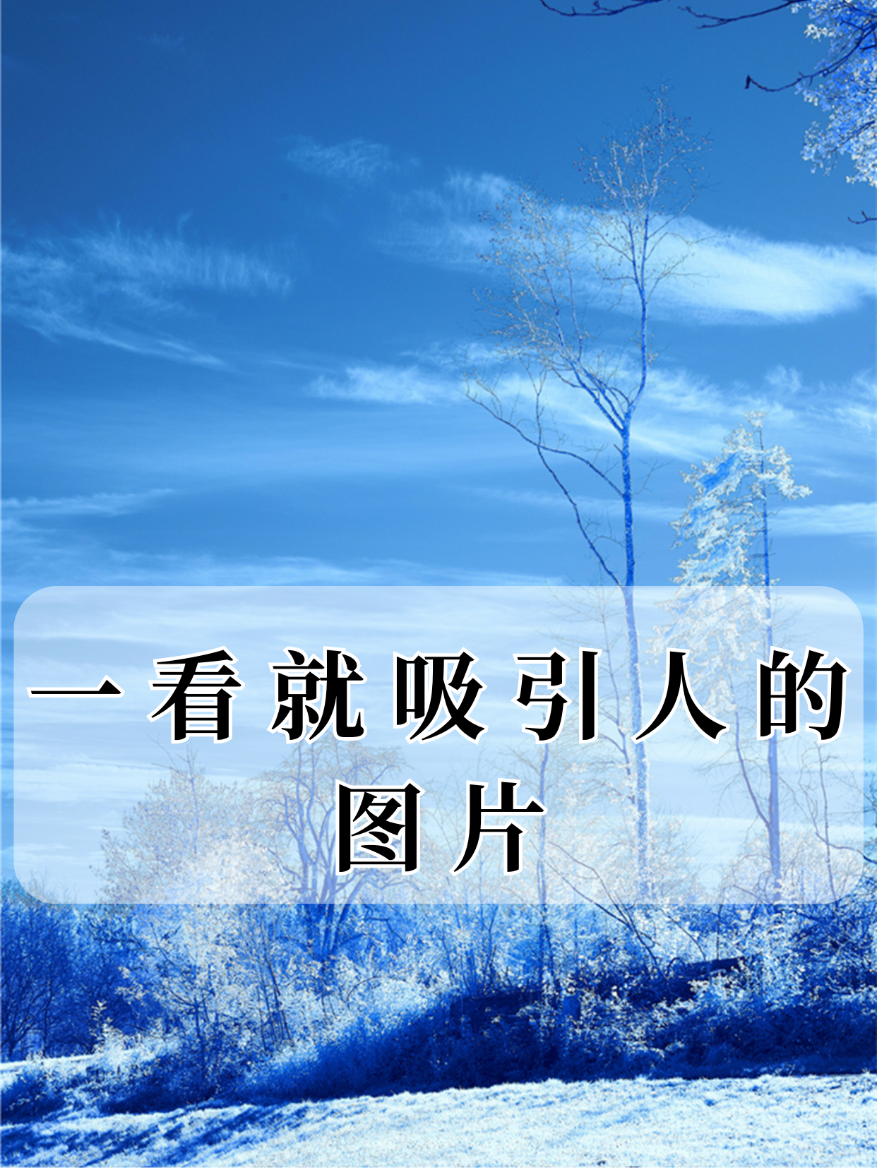 118图库彩图库，丰富的视觉盛宴-第2张图片