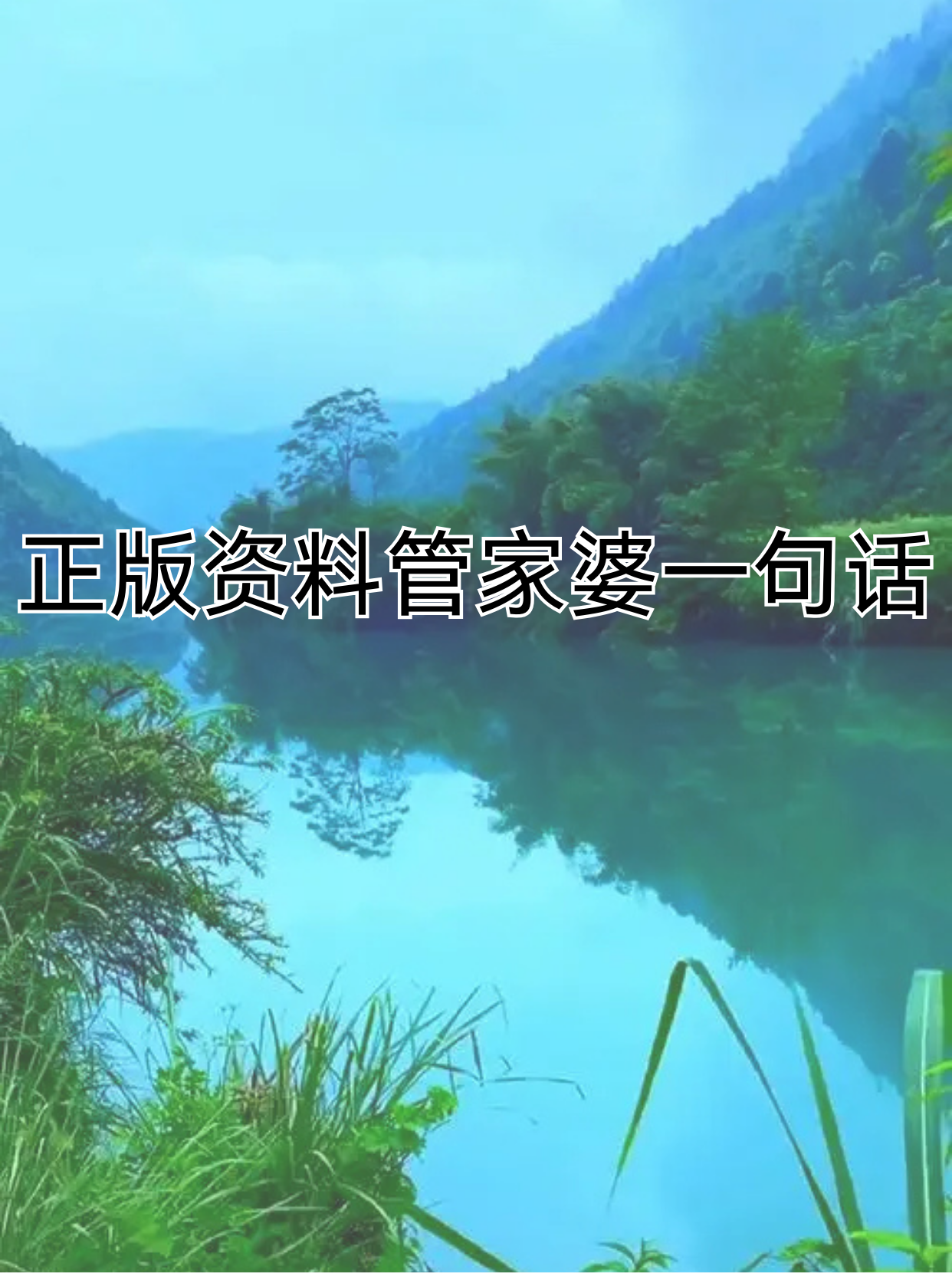 管家婆精准资料免费大全