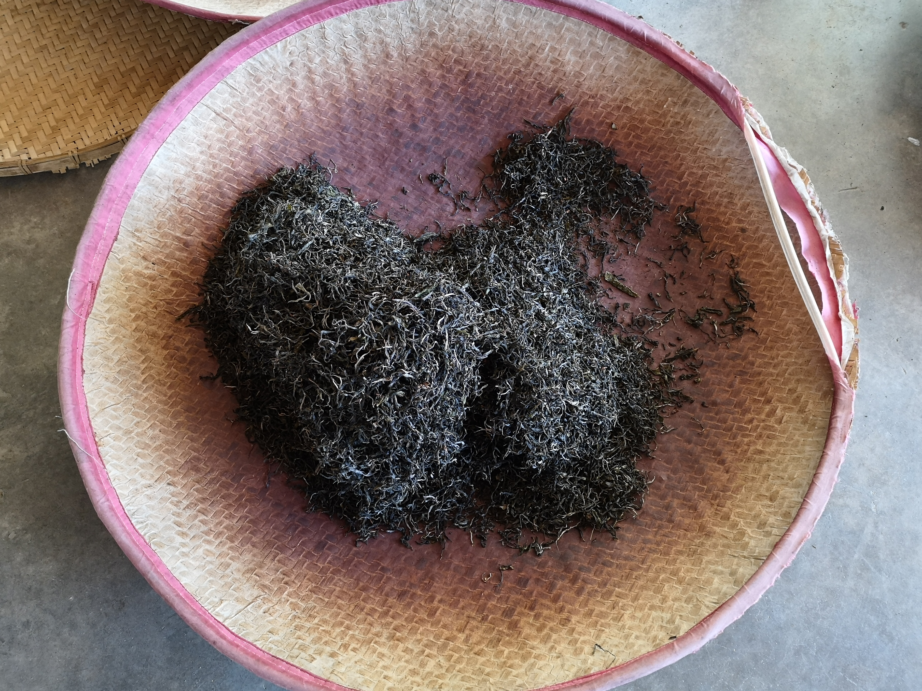 上海茶叶大王向玉荣，茶业传奇的辉煌篇章
