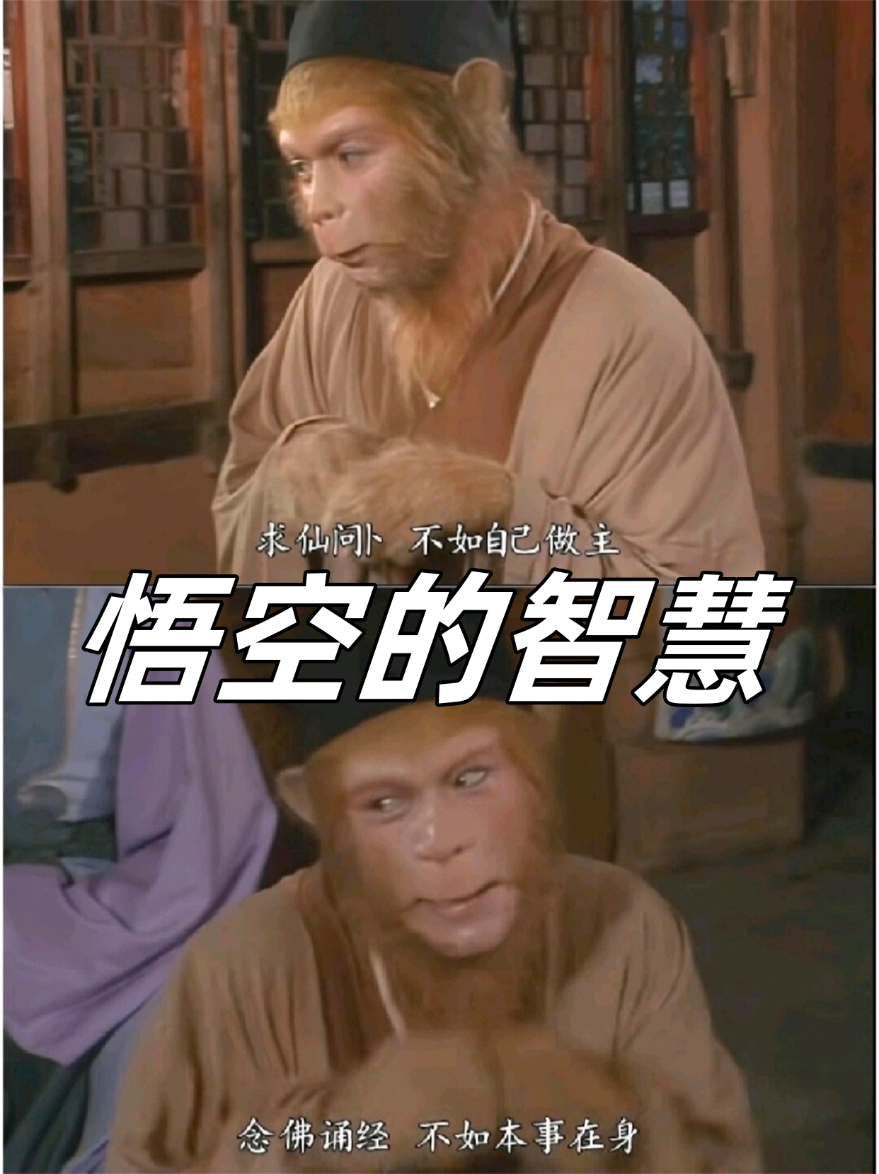 09版西游记视频在线观看探寻09西游记吧，文化瑰宝的魅力-第3张图片