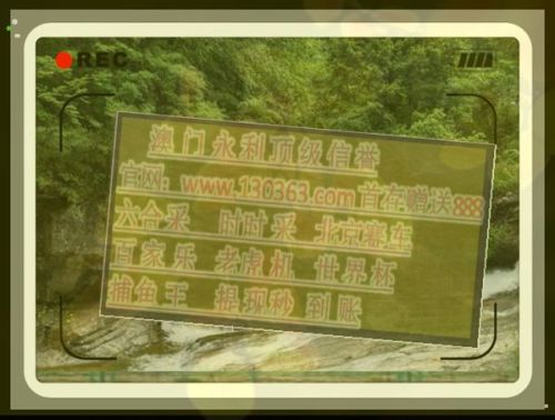 平码二中二复式表图平码二中二，数字游戏中的艺术-第2张图片