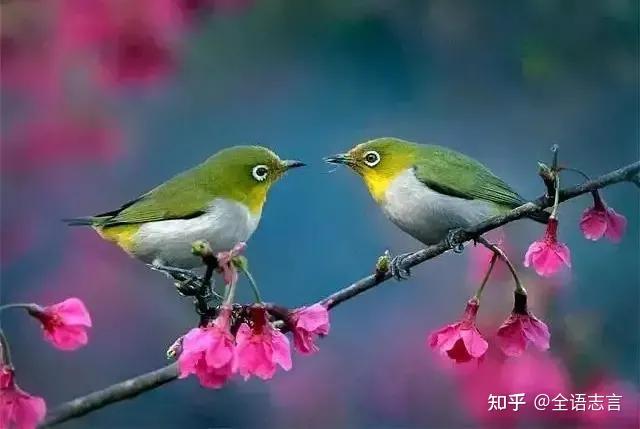 东鳞西爪是什么生肖东鳞西爪，生肖龙