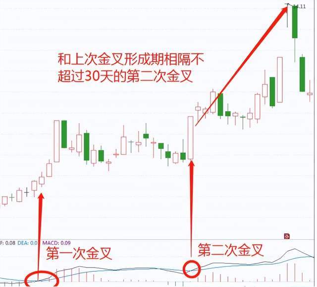 三期内必开一期精准一肖,答案解析解…三期内必开一期精准，把握市场脉搏与行业趋势-第2张图片