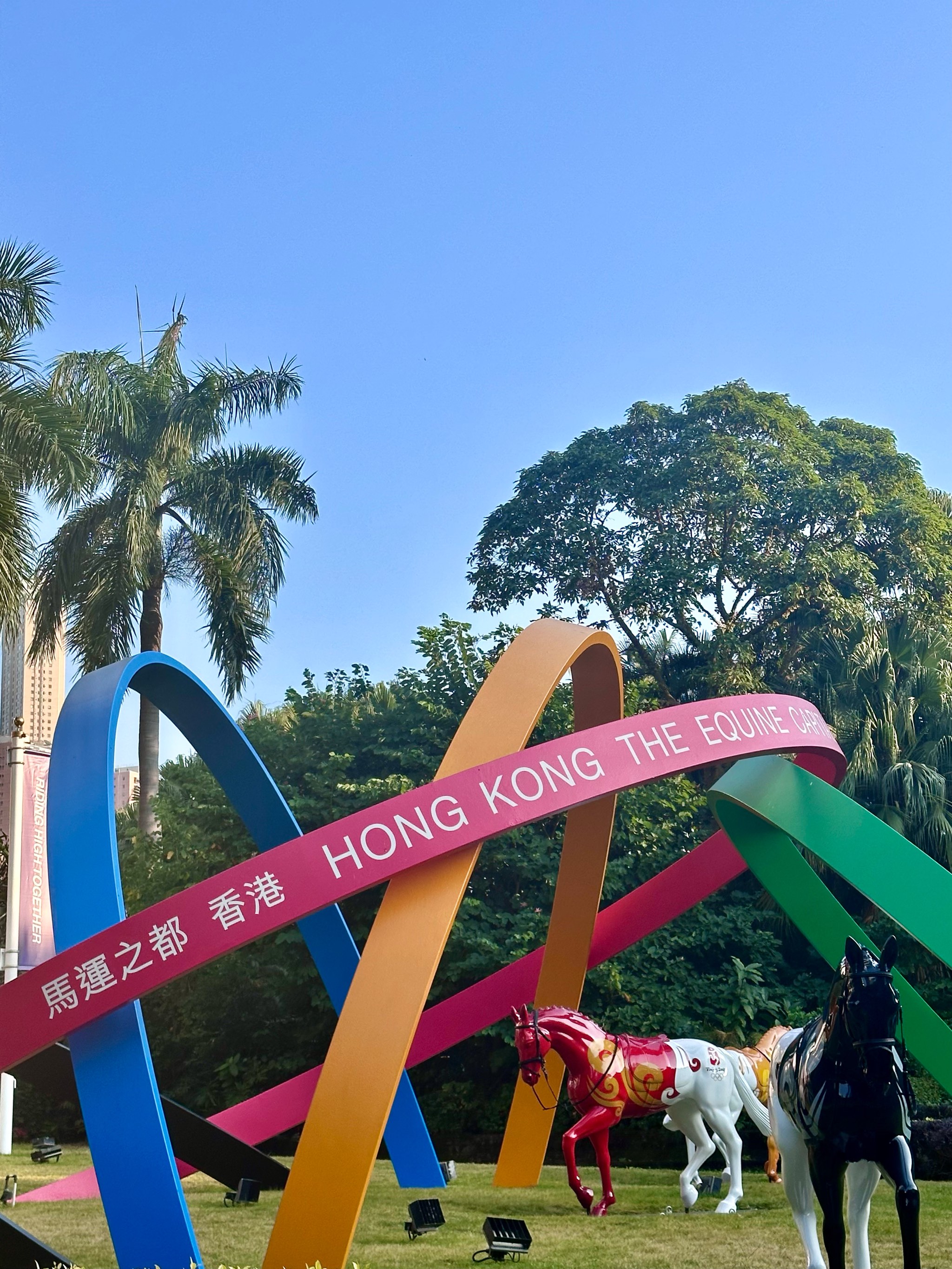 香港免费公开资料大全香港赛马会论坛，探讨赛马运动与文化交流