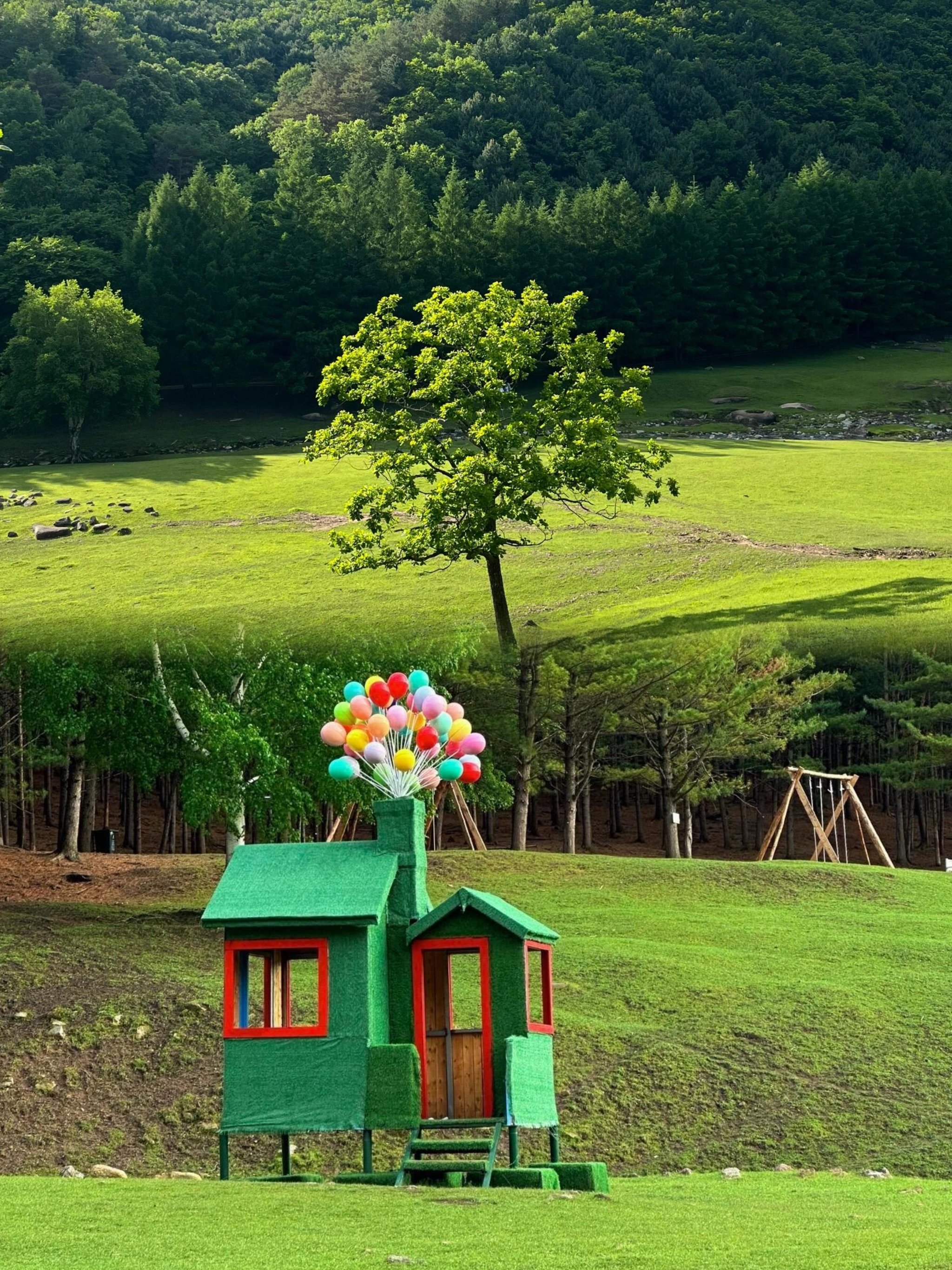 伊春飞机之旅