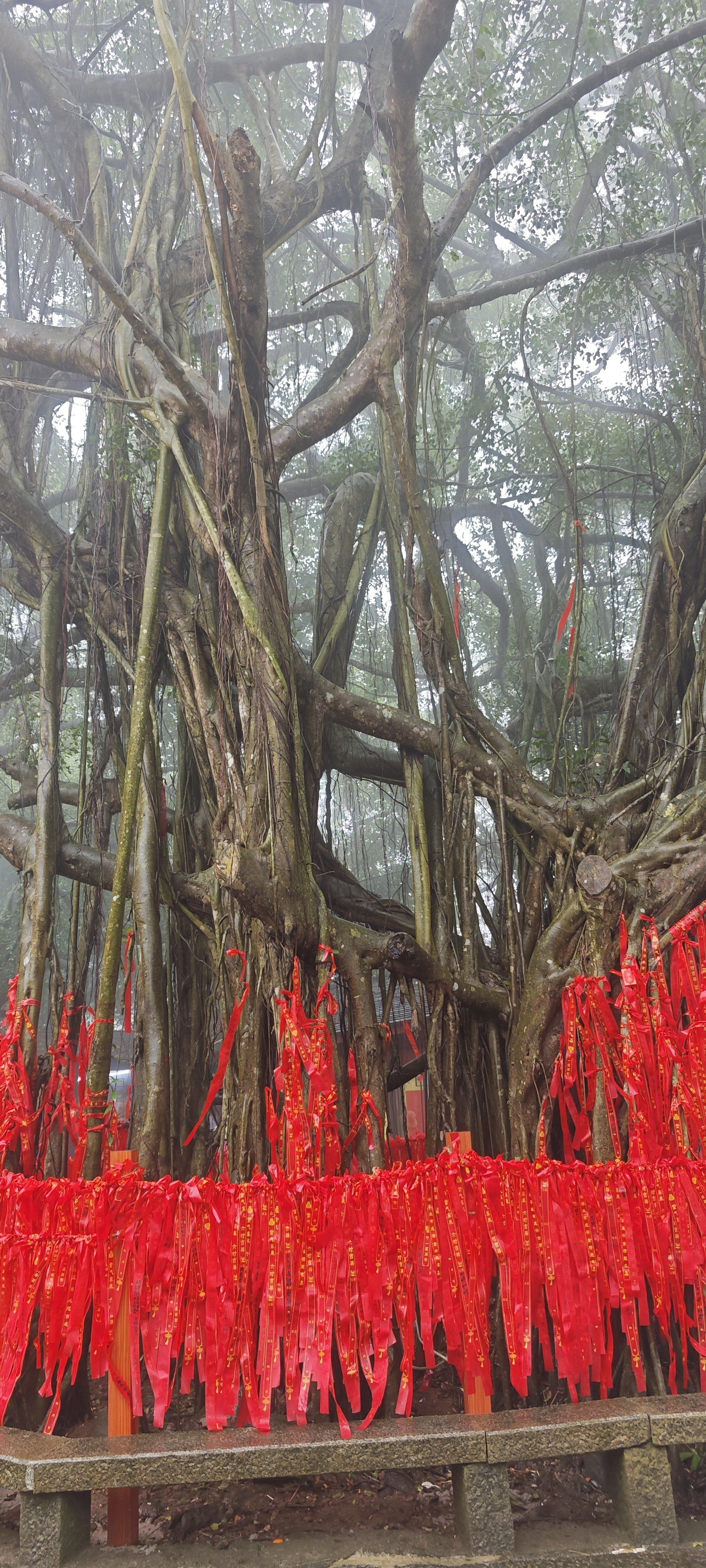 东山岭东山岭之旅