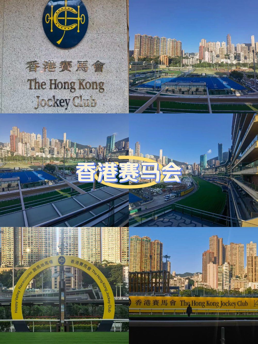马会资料免费大全网正版马会免费资料大全专业版-第2张图片