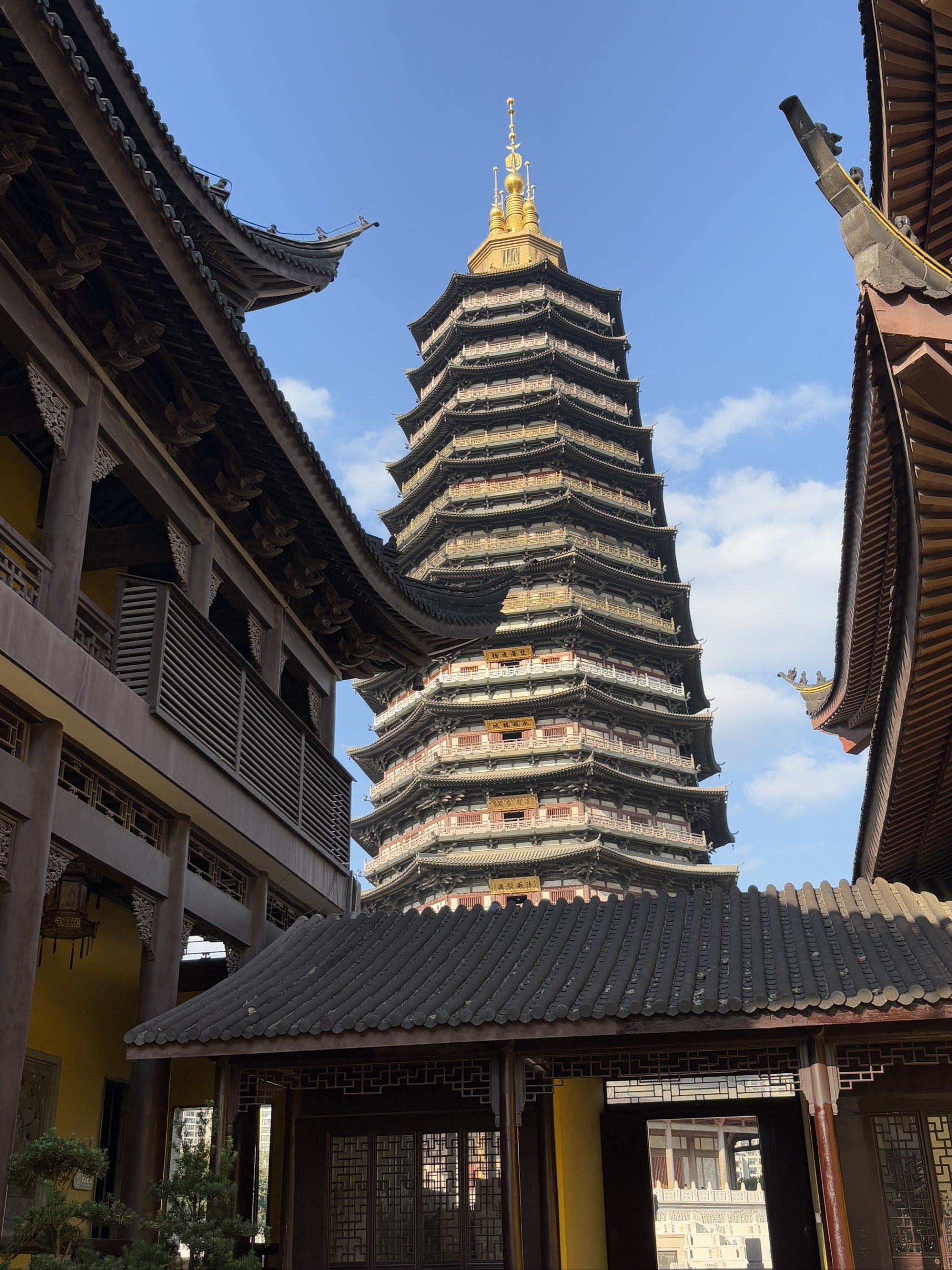 常州旅游团常州旅游团，畅游美丽风光