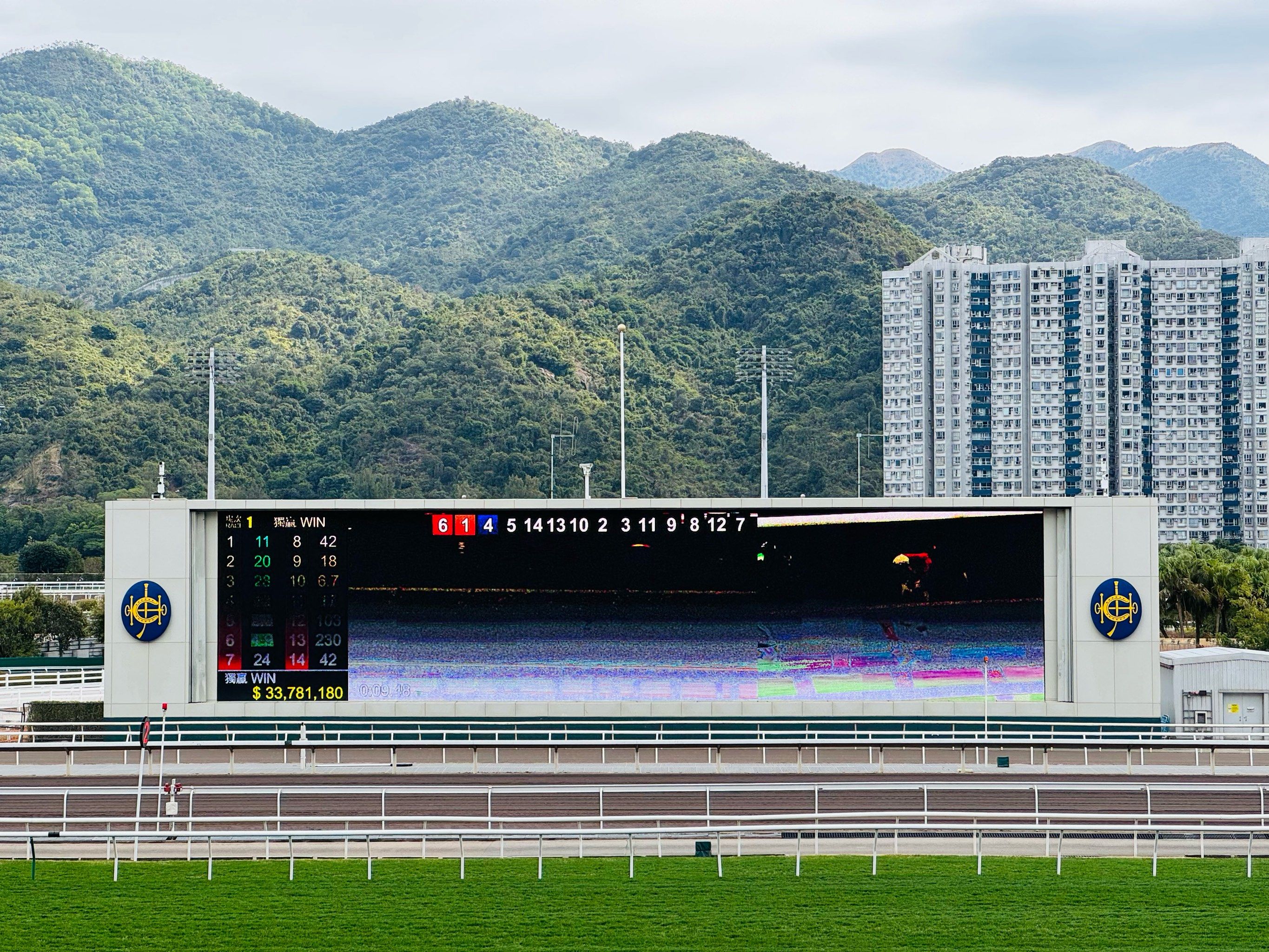 香港赛马会论坛香港赛马会论坛，探讨赛马运动与文化交流